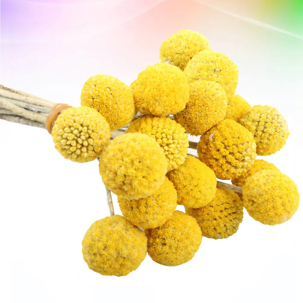 

30pcs Stems DIY Dried Flowers Branch Farmhouse Home Decor Bouquet Golden Craspedia Yellow Billy Balls Photography Prop
