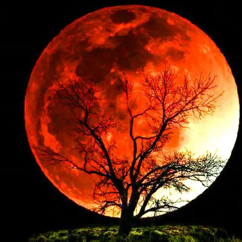 

4 Pack Tree 5D DIY Diamond Painting Kits Full Drill Rhinestone Embroidery Decor X4YD