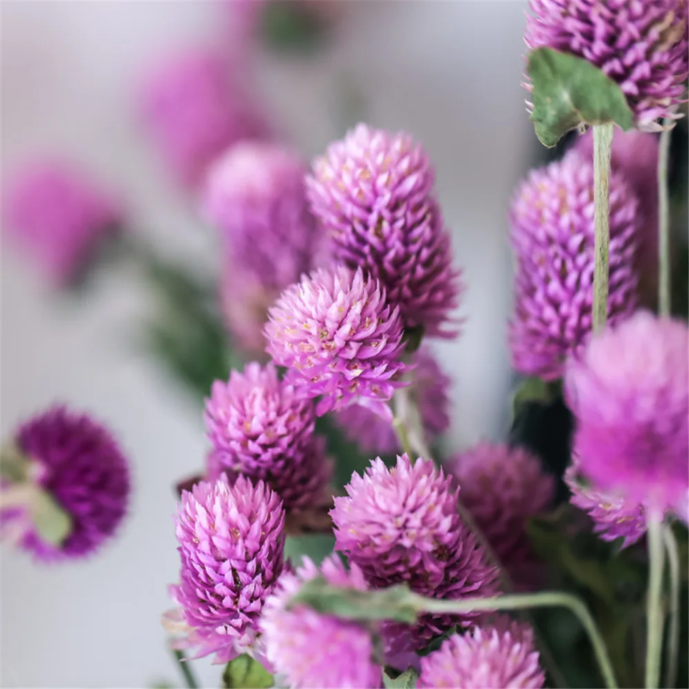 15 шт. Рождественский Декор gomphrena букеты сушеные натуральные Цветы Букет gomphrena букеты фиолетовая ваза в комплект не входит