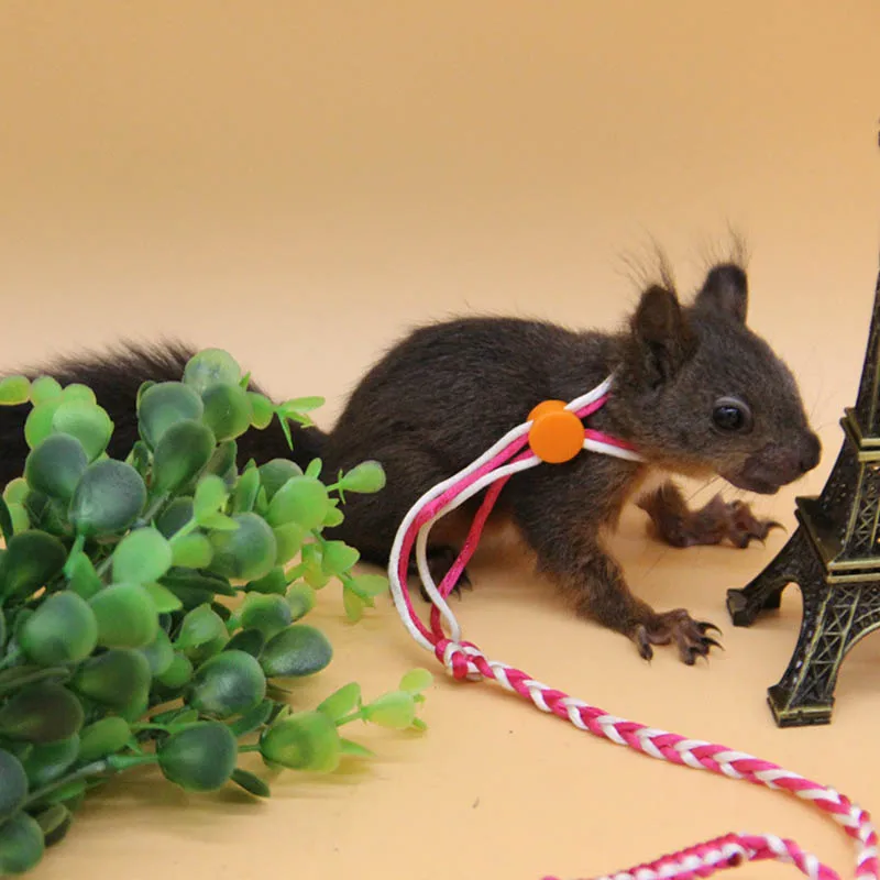 

Hamster Harness Ropes Harness Lead Collar Adjustable Small Animal Cage Tools Hamster Leash 2M Pet Products Mouse Supplies 1Pcs