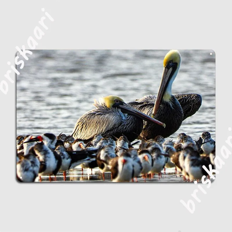 

Pelicans и скиммеры, металлический знак, кинотеатр, кухонный дизайн, Настенный декор, настенный оловянный знак, плакат