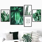 Алмазная 5D картина с изображением свежих растений, пальмы монстеры, банана, Листьев, пейзаж, нордическая Алмазная вышивка, вышивка крестиком, мозаика, домашний декор