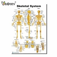 medical human skeleton bones technology pvc poster doctor learning aids school supplies educational toys stem science home decor