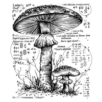 clear stamps big mushroom umbrella plant fern numbers for diy scrapbook photo album craft card 2021 new