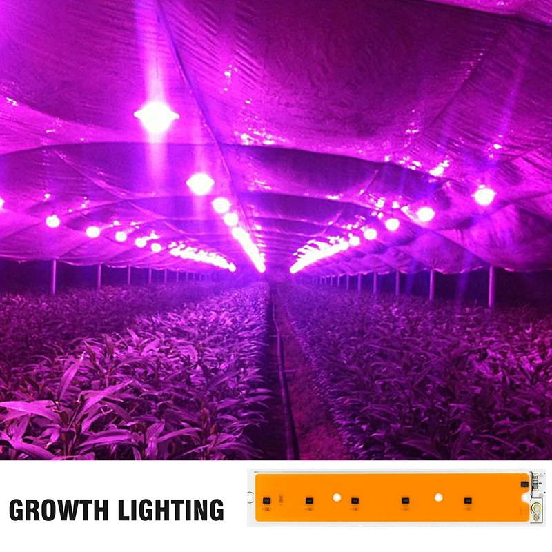 5 шт./лот LED 50 Вт COB шарик AC 220 В полный спектр холодный белый завод чипы для фойе Сад