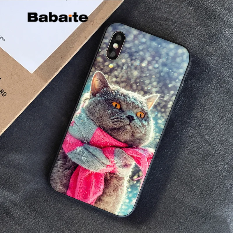 1 Babaite Британский короткошерстный Кот в продаже окрашенный мягкий чехол для телефона Apple iPhone 8 7 6S Plus X XS MAX 5 5S SE XR - Цвет: 1
