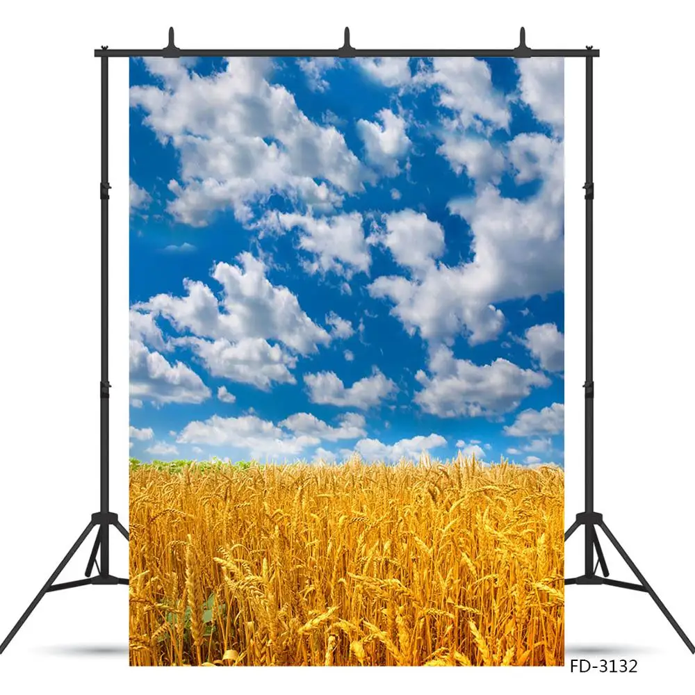 Фон с изображением голубого неба и белых облаков модель реклама прямая