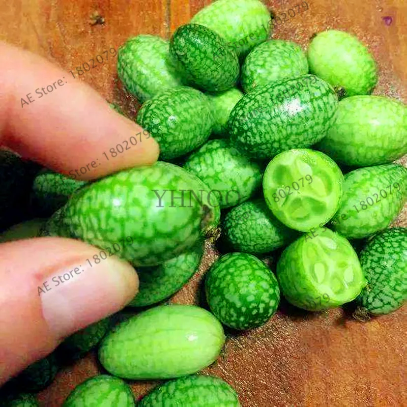 50 шт. дорогие семена арбуза редкая фотография для домашнего сада легко растут