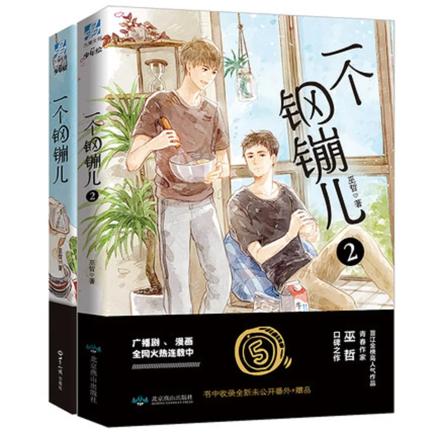 

2 Books /Set A Coin Novel Book Wu Zhe Works Youth Literature Adult Love Network Novels Fiction Book