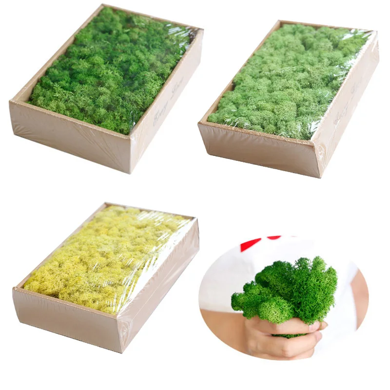 

200g/lot Artificial Moss Grass Green Simulation Plant for Home DIY Wall Decoration Miniature Landscape Fairy Garden Accessories