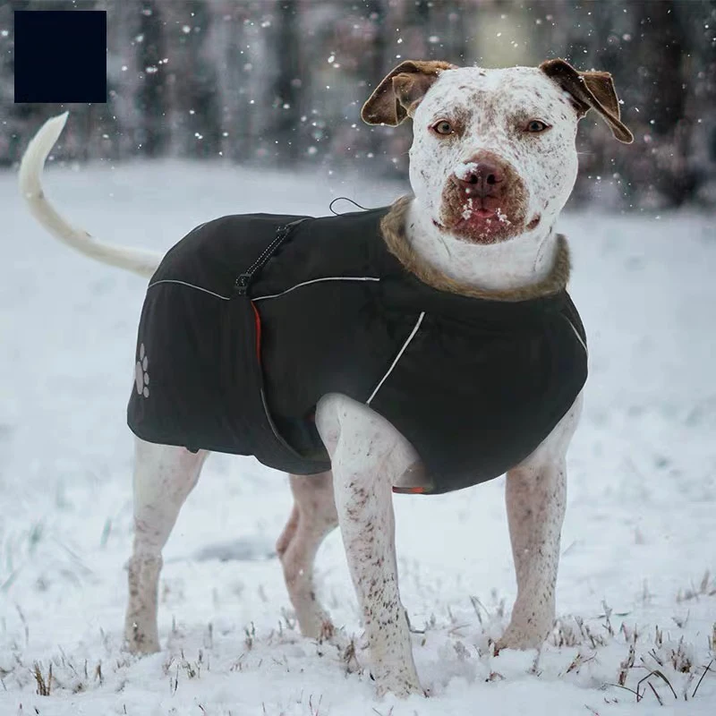 Зимняя утепленная куртка для собак водонепроницаемый Зимний комбинезон