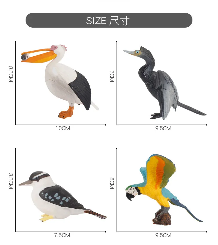 Моделирование Пеликан попугай птица каскадная модель животных игрушки фигурка