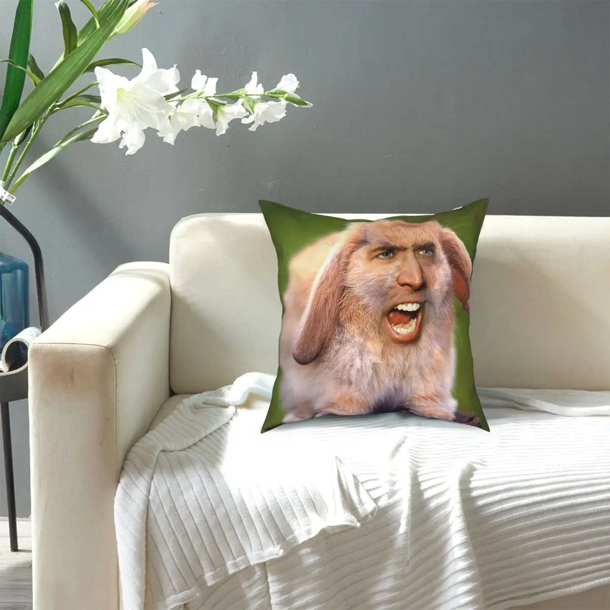 

Nicolas CageRabbit Throw Pillo Square Pillow Case Cushions for Sofa Novelty Pillowcover Home Decor