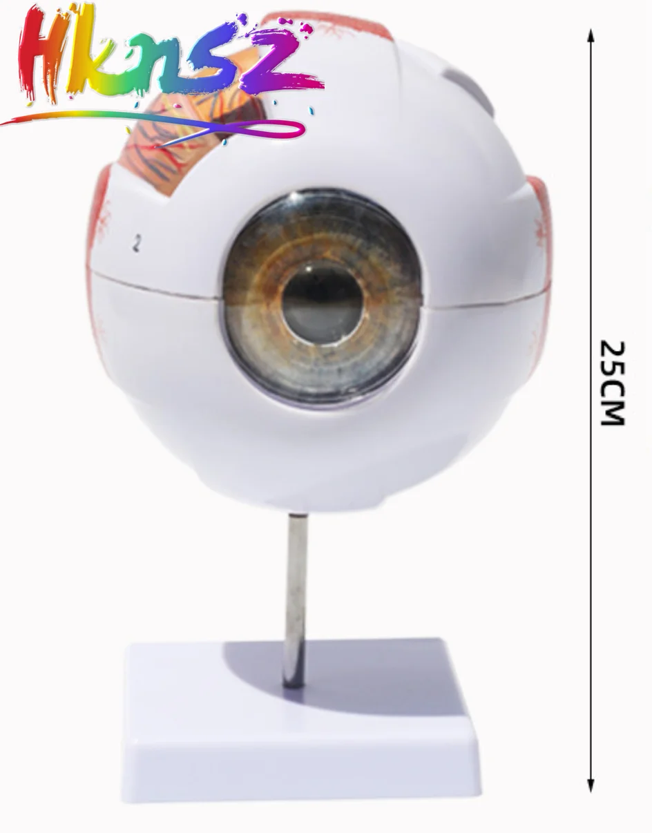 

Educational Equipment & Supplies