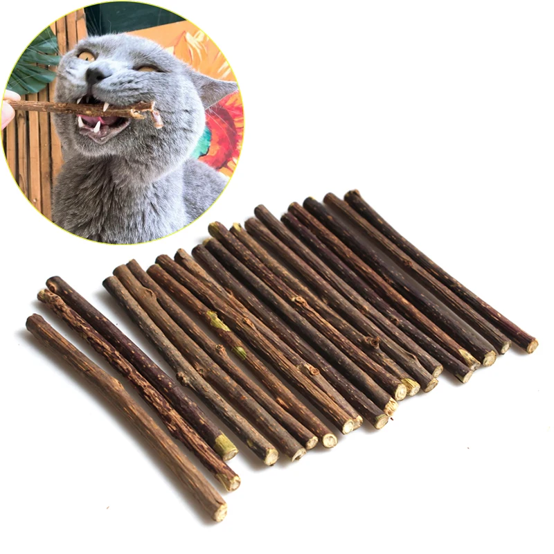 

10pcs Natural Catnip Pet Cat Molar Toothpaste Stick Actinidia Fruit Silvervine Cat Snacks Sticks Pet Cleaning Teeth
