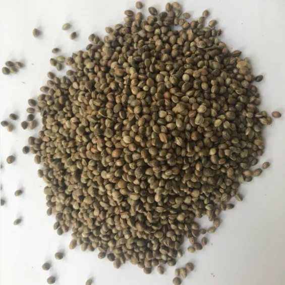 Высокая степень прорастания|Блестки для тела| |