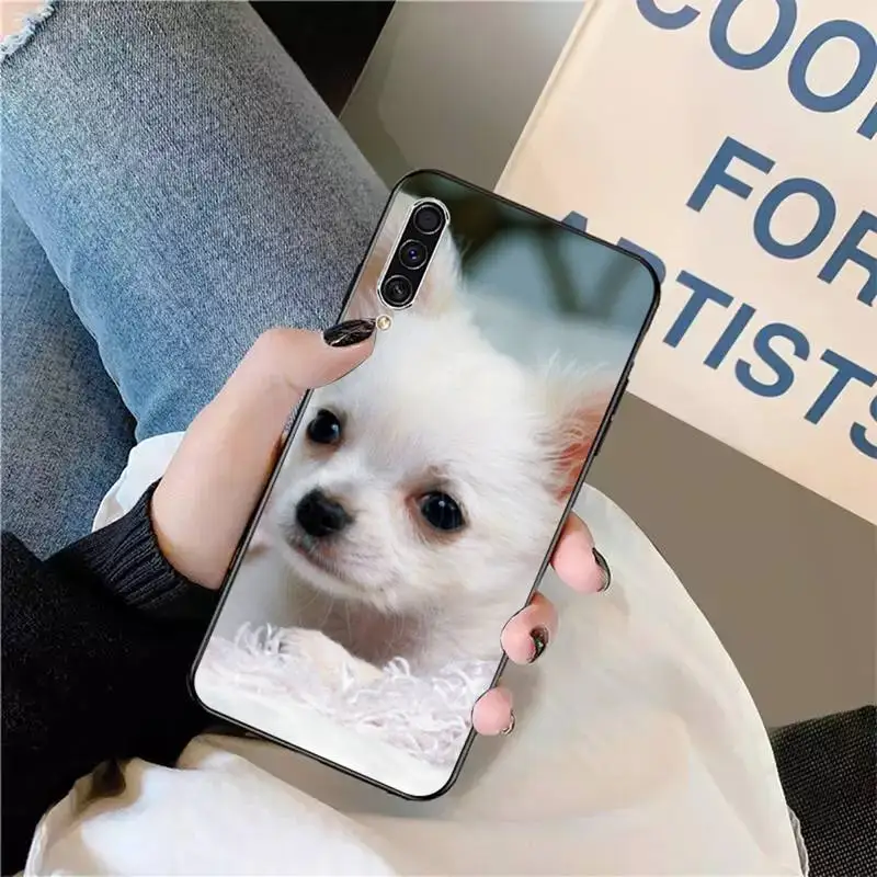 

Chihuahua dog cute animal Phone Case For Samsung galaxy S 9 10 20 A 10 21 30 31 40 50 51 71 s note 20 j 4 2018 plus