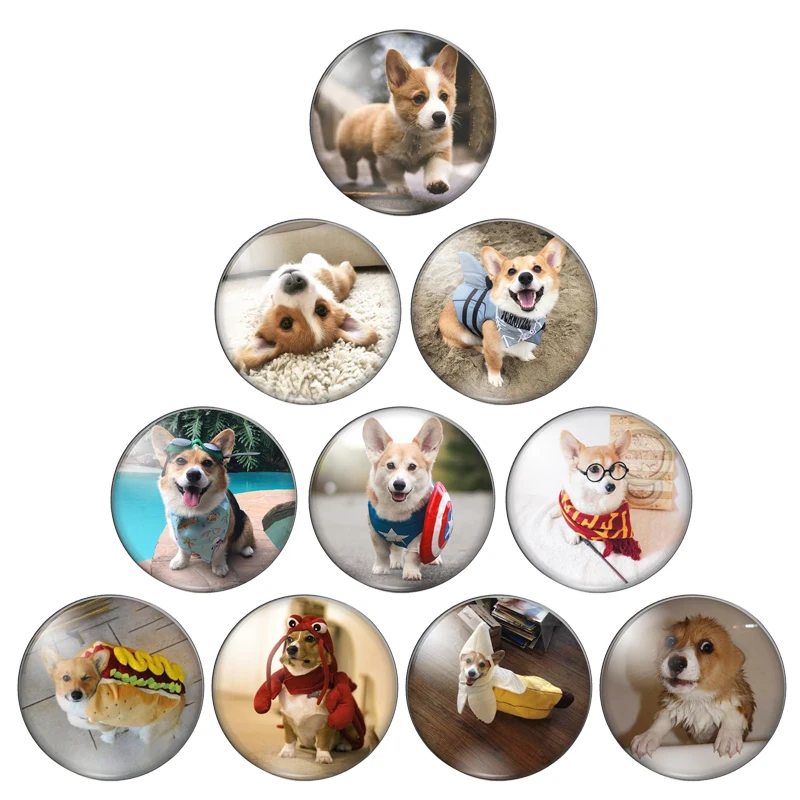 Новинка Забавные короткие ноги корги собаки 10 шт. 12 мм/18 мм/20 мм/25 мм круглые фото