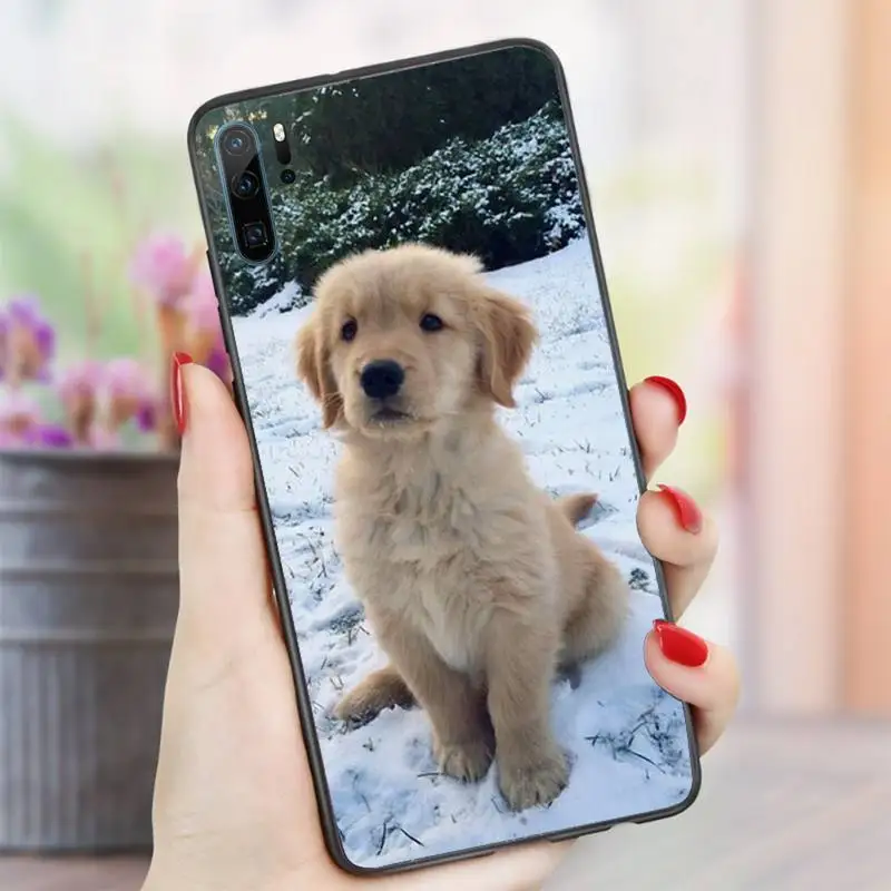 

Cute Labrador Puppies Dog animal Phone Case For Huawei honor Mate P 10 20 30 40 i 9 8 pro x Lite smart 2019 nova 5t