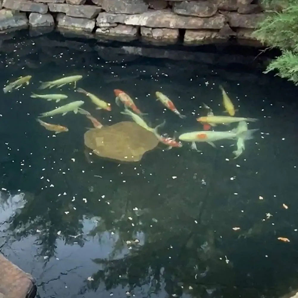 Подкладка для пруда непроницаемая Мембрана озеленения сада фонтана кровати