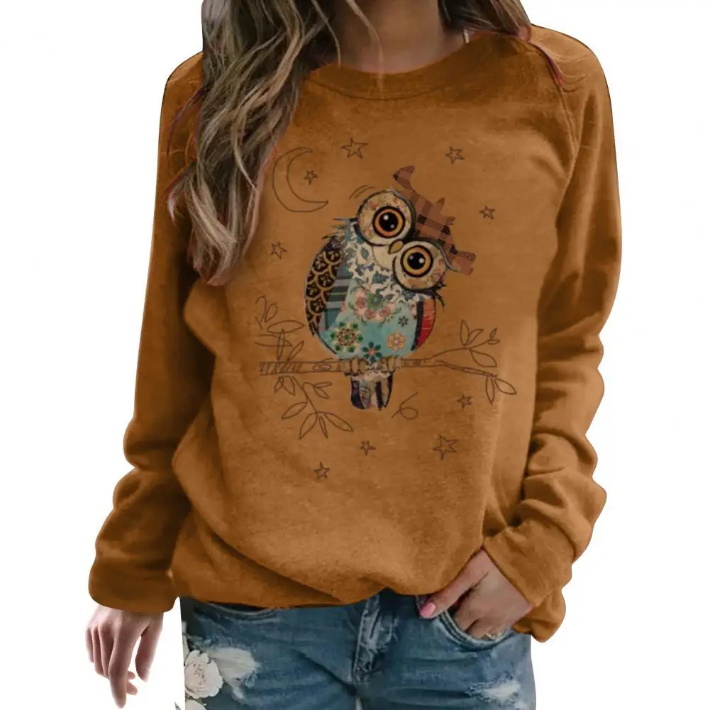 

Cute Owl Print Pullover Sweatshirt Long Sleeve Autumn Winter O-Neck Loose Fit All-Match Women Sweatshirt Outerwear