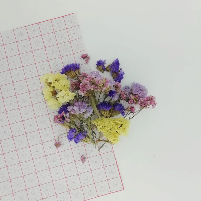 Засушенные цветы для украшений из смолы 5 г/пакет | Дом и сад