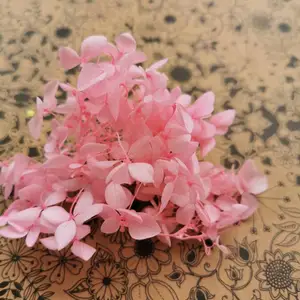 3 глот, натуральная Сохраненная Гортензия, вечная Цветочная головка для свадебного украшения, головной убор для невесты и Подарочная коробка сделай сам