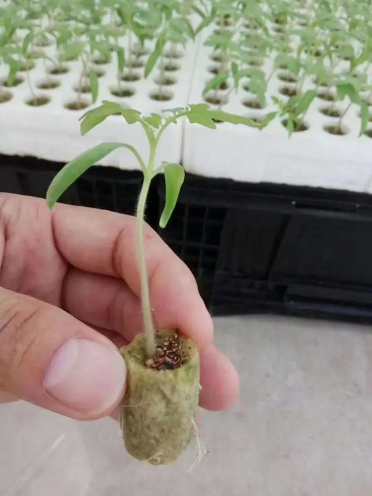 Импортная культура минеральной ваты подложка сельскохозяйственный режущий блок