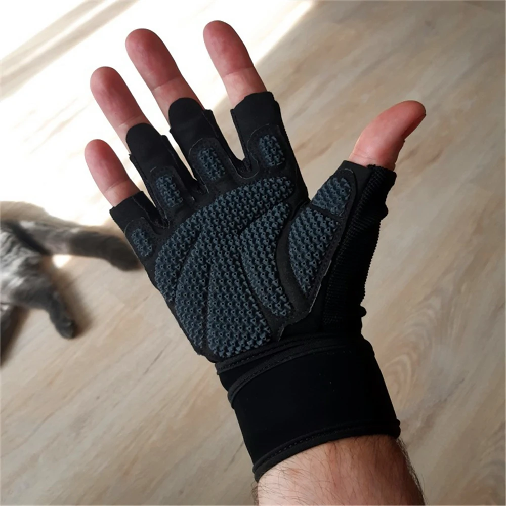 

Fitness & Body Building