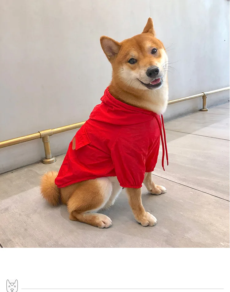 Мода perro ropa mascota lluvia abrigo al aire libre sólido con capucha impermeable mascota perro cachorro chaqueta