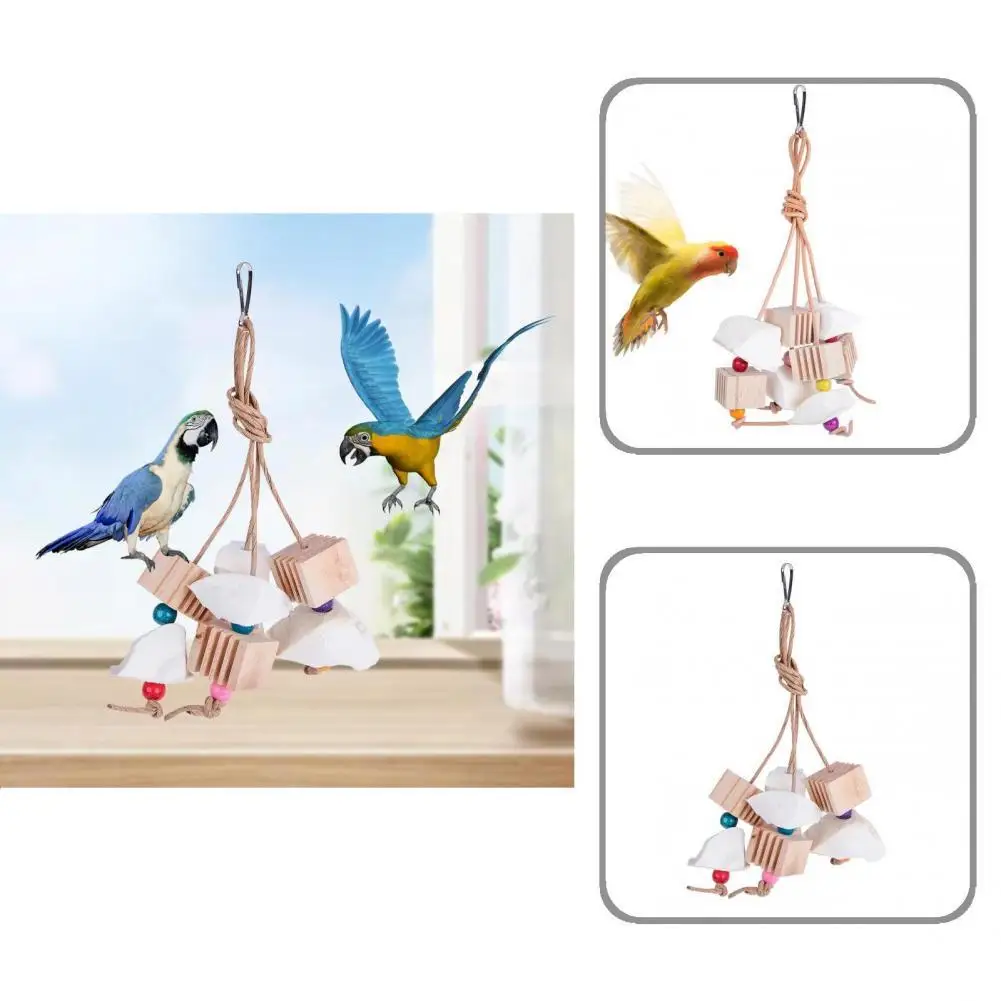 

Interactive Toy Eco-friendly Parrot Hanging Puzzle Toy Creative Parrot Training Toy Teeth Molar Pet Supplies