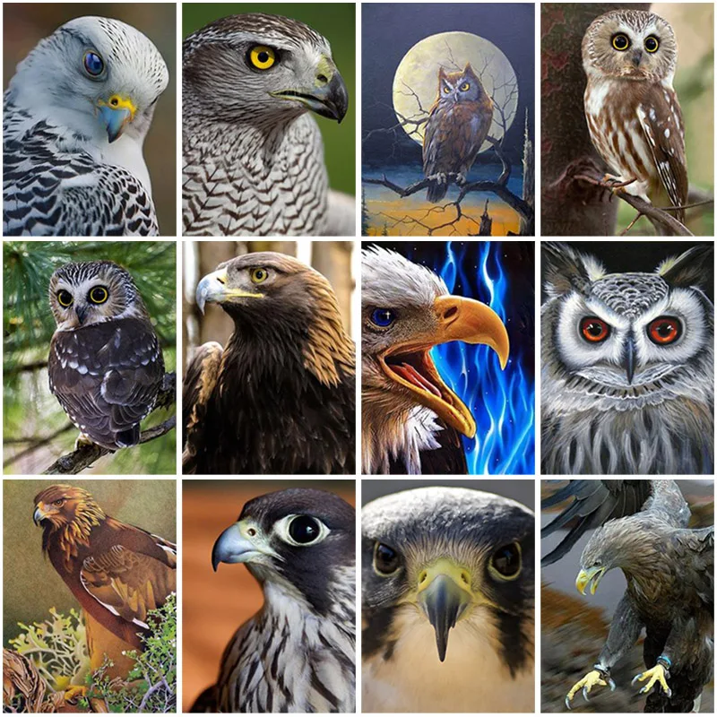 

5D Owl Diamond Painting Full Square Drill Animals Diamond Embroidery Cross Stitch Mosaic Rhinestone Crafts Kit Home Decor Gift
