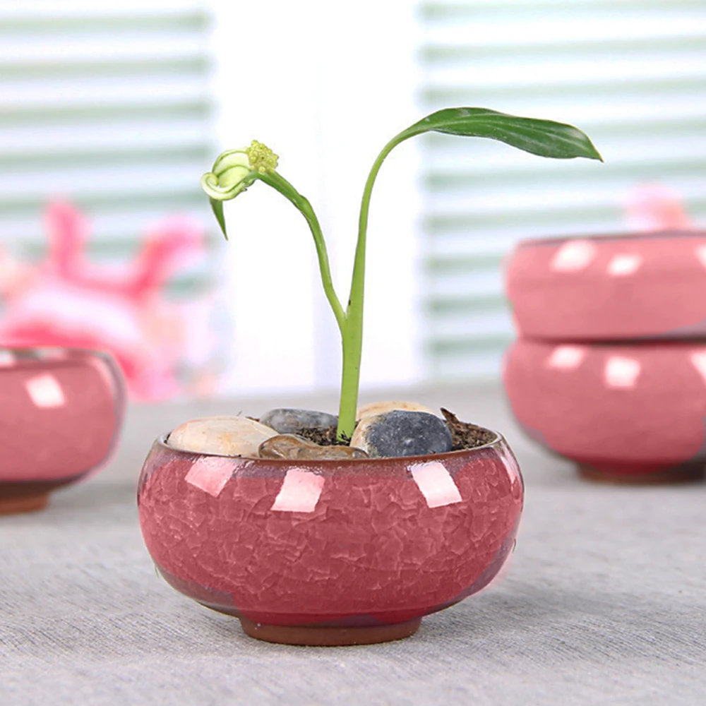 Керамический горшок с трещинами для льда Zisha серийное растение суккулентов