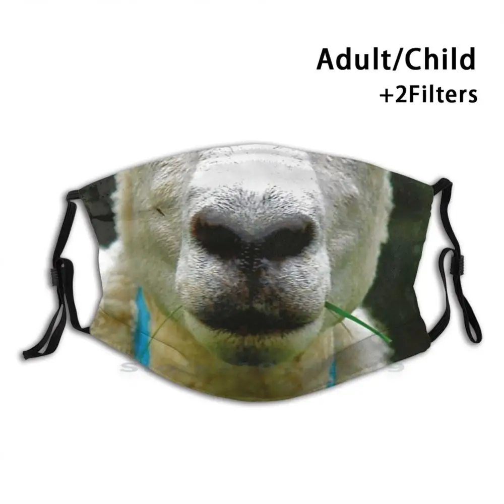 

Sheep Mouth Print Reusable Mask Pm2.5 Filter Face Mask Kids Sheep Sheep Mouth Norwegian Oslo Safety Sheep Nose Norway Forrest
