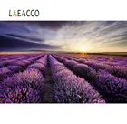 Laeacco Прованс клевер цветок морской рассвет Свадьба природные живописные фотографии фоны фото фон