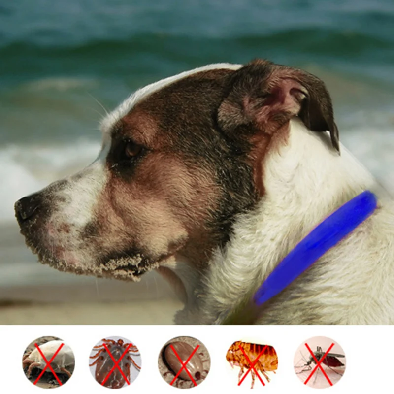 4 в 1 ошейник для домашних животных эффективный собак среднего и большого размера