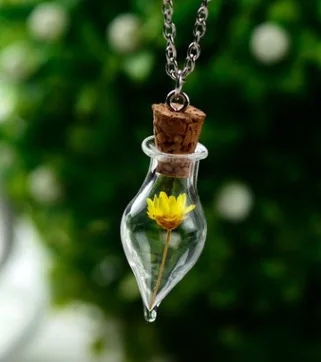 Сушеный цветок ожерелье forget-me-не настоящее живое растение Посеребренная Подвеска Бижутерия Ожерелье с цветами - Окраска металла: songxiang0025