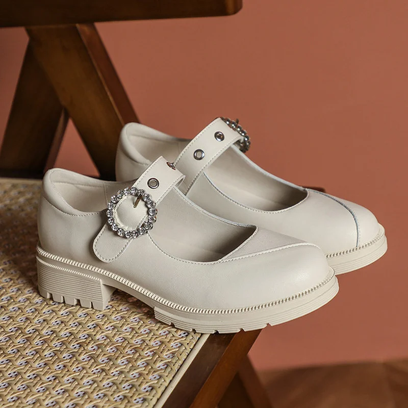 

Mary Jane Shoes Women 4CM Square Heel High Heels 2021 New Thick-soled Round Toe Japanese All-match Single Shoes Plus Size 34-43