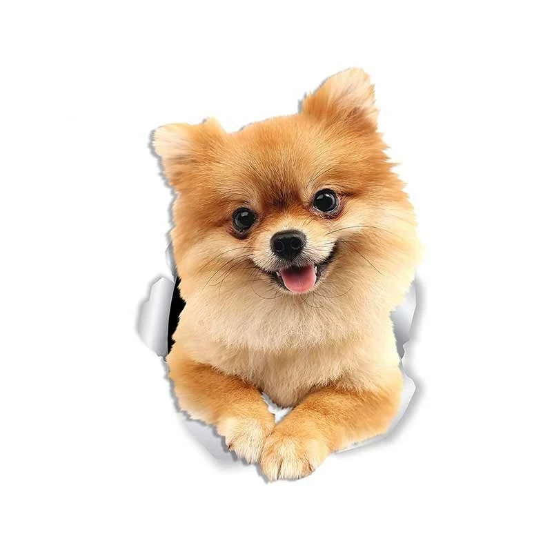 

S50367# 13CM/15CM/17CM Personality PVC Decal Pomeranian Dog Waterproof Car Sticker on Motorcycle Laptop Decorative Accessories