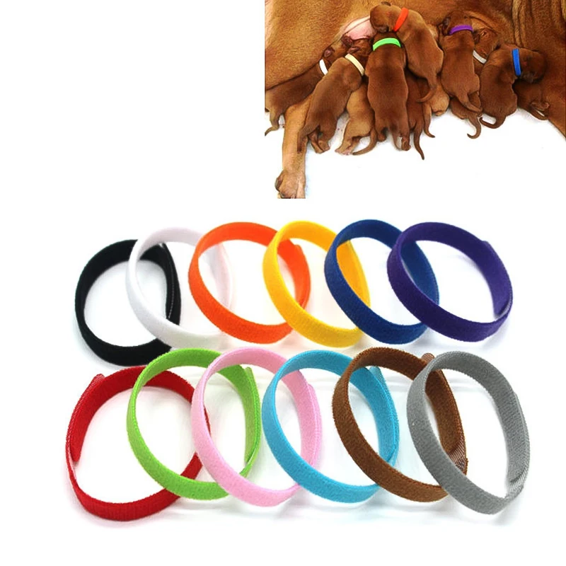 

Identification Collar Pet Elizabethan Collar Dog Cat Wound Healing Prevent Bite Neck Ring for Household Animals Cat Decoration
