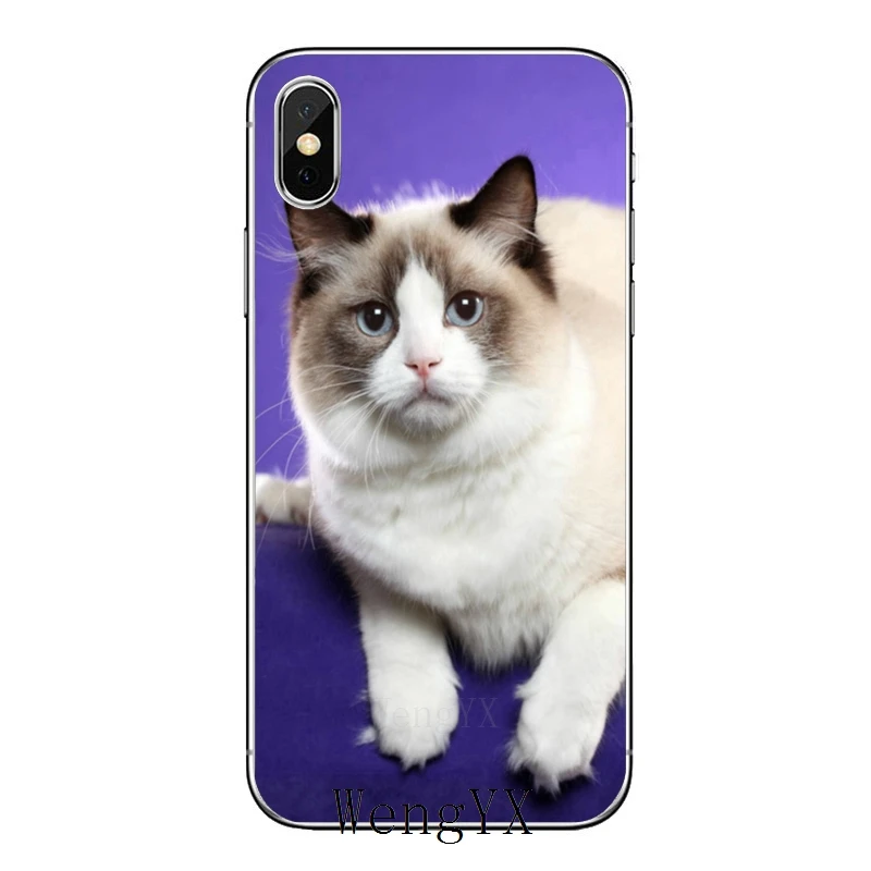 Pet ragdoll кошка синие глаза для huawei mate 20 10 9 P30 P20 P10 P9 pro Lite P Smart plus аксессуары чехол для телефона - Цвет: cat-blue-eyes-B-08