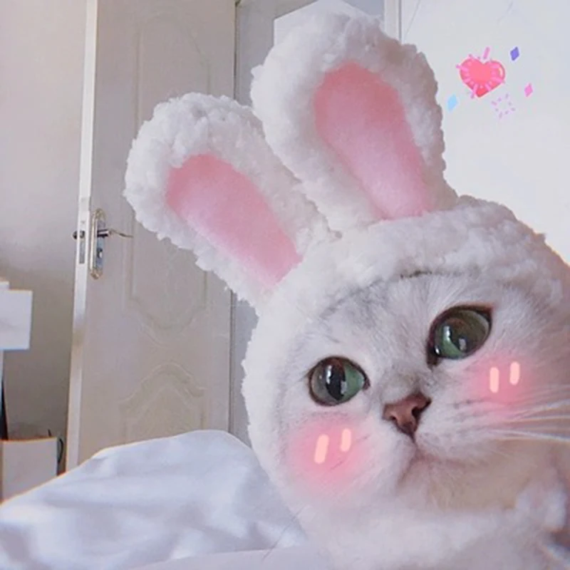 

Dog Cat Cap Cute Rabbit Ears Costume Dog Cap Headdress Show Prop Funny Pet Hat Cat Headwear Cosplay Accessories Pet Headwear