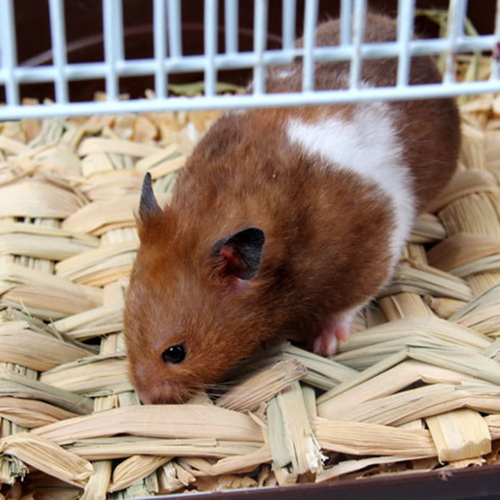 Новый 2019 соломенный коврик для домашних животных хомяк кролика Размеры S/L
