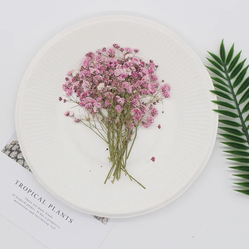 Натуральные сушеные цветы тиснение Botany образец Diy клей ручной оболочки Ароматерапия Свеча фоторамка активность материал наука - Цвет: Full rosy red