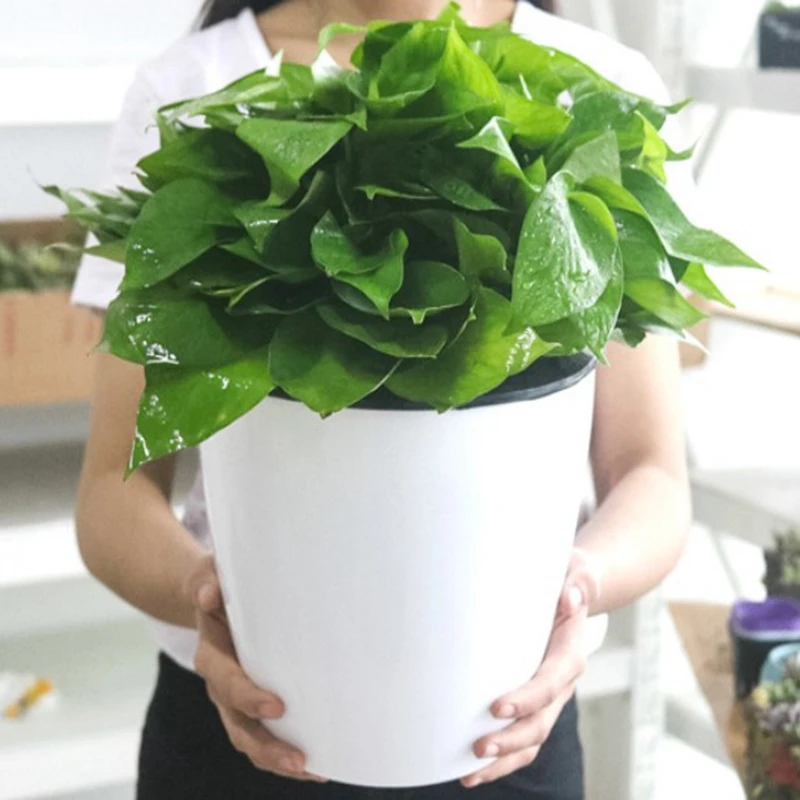 1 шт. садовый цветочный горшок для поглощения воды растений бонсай домашнего