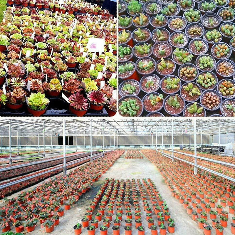 

Supplies Eco Friendly Lightweight Flower Pots Set 100pcs Accessories Container Garden Grow Holder Planter Plastic