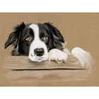 Полноразмерная Алмазная 3D вышивка животные с каймой колли, картина из страз, мозаика из страз, полный комплект для домашнего декора, ручная работа