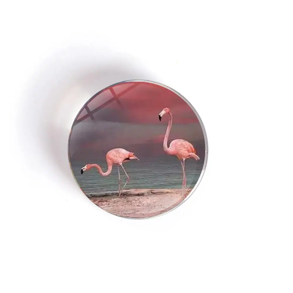 QIYUE мультяшный Фламинго Магнитный хрустальный круглый стеклянный стикер для