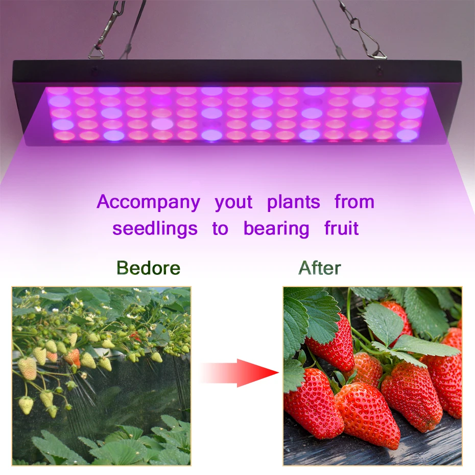LED Grow Light Tent Indoor Garden Hydroponic Growing Lamp 50W Full Spectrum Red+Blue+UV phyto lamps For Plants Cultive box | Лампы и