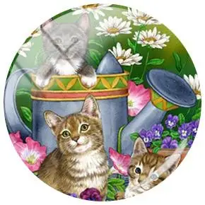 Очаровательная картина JWEIJIAO с красочными цветами и котом, изображение 12/15/16/18/20/25 мм, фото, ювелирные изделия с плоским основанием, аксессуары для поделок HT482